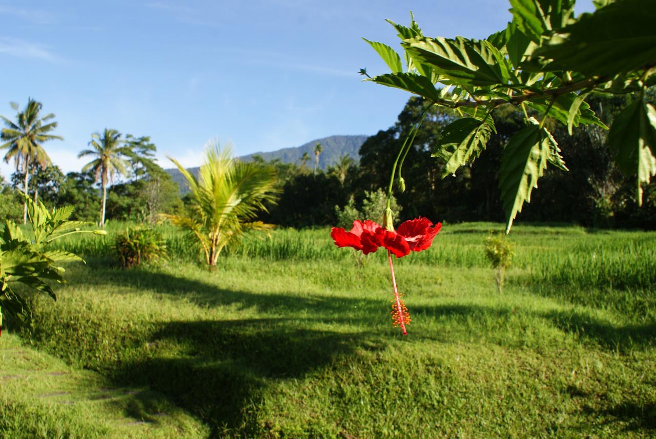 Prana Dewi Mountain Resort Desa Desa Jatiluwih Exteriör bild