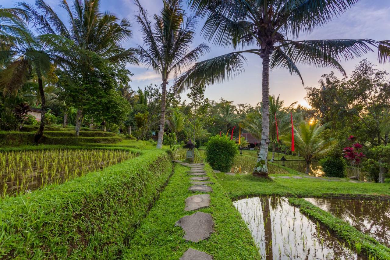 Prana Dewi Mountain Resort Desa Desa Jatiluwih Exteriör bild