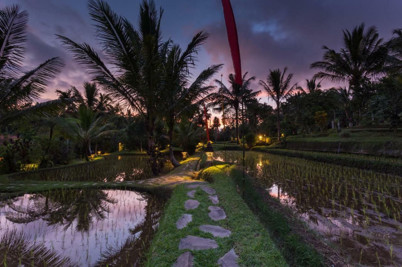 Prana Dewi Mountain Resort Desa Desa Jatiluwih Exteriör bild