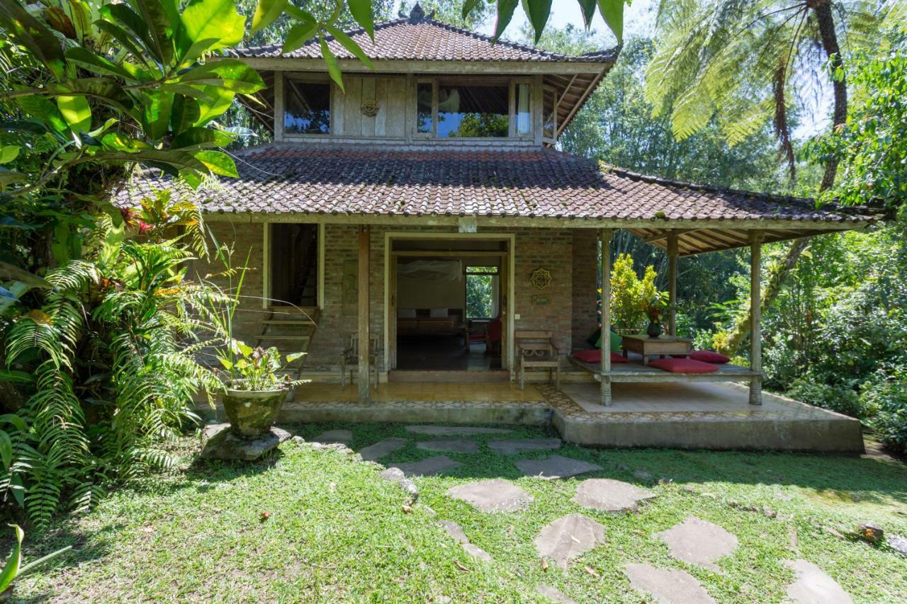 Prana Dewi Mountain Resort Desa Desa Jatiluwih Rum bild